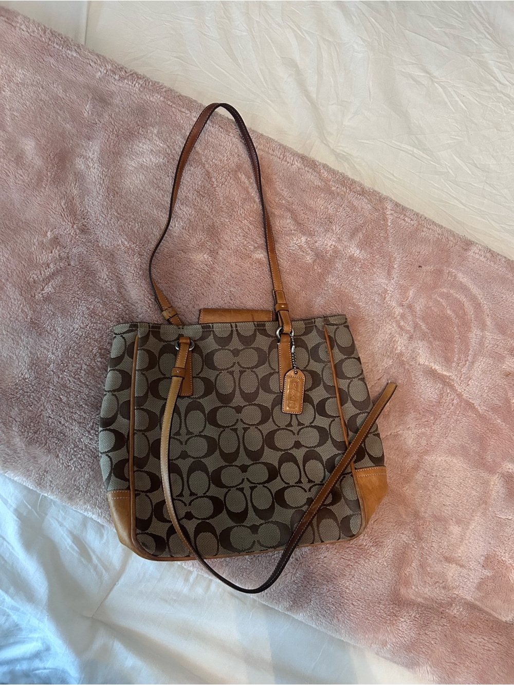 Vintage Coach Signature Canvas Tote Bag in Brown